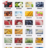 ILIA哩啞煙彈一代通用🍬3顆入❤️‍🔥濃厚度的冠軍(滿送活動)